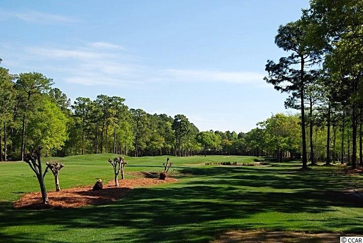 1390 Links Road Myrtle Beach, SC 29575 - Photo 3 of 40 Gallery Image 3