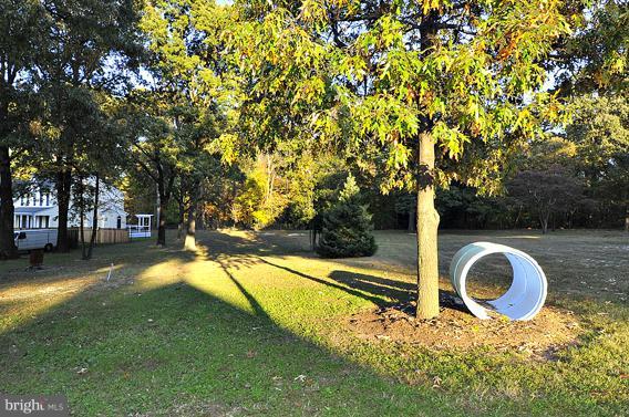 7907 Elizabeth Road Pasadena, MD 21122 - Photo 22 of 30 Back Yard