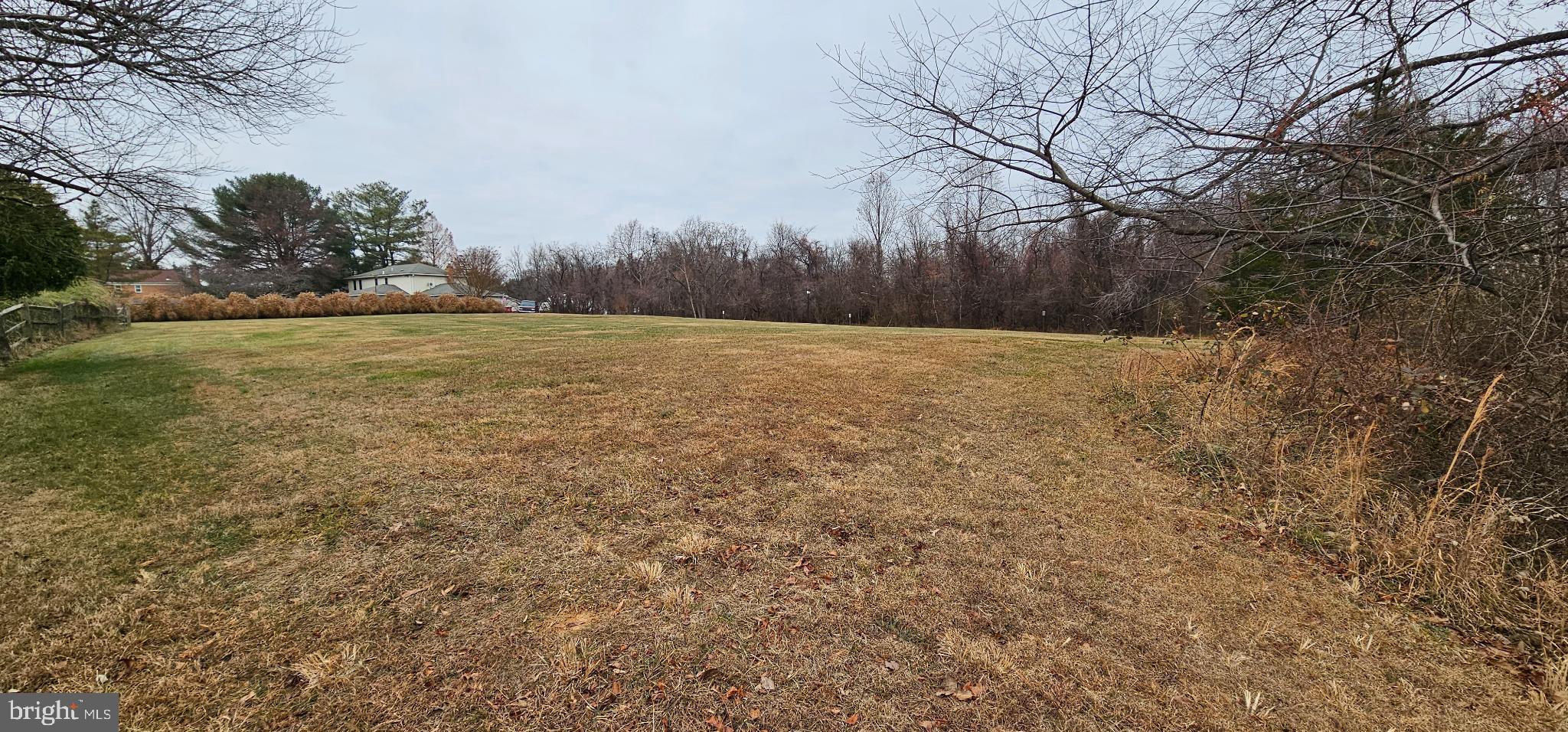 15330 Hildegard Lane Silver Spring, MD 20905 - Photo 39 of 45 a view of large yard with trees