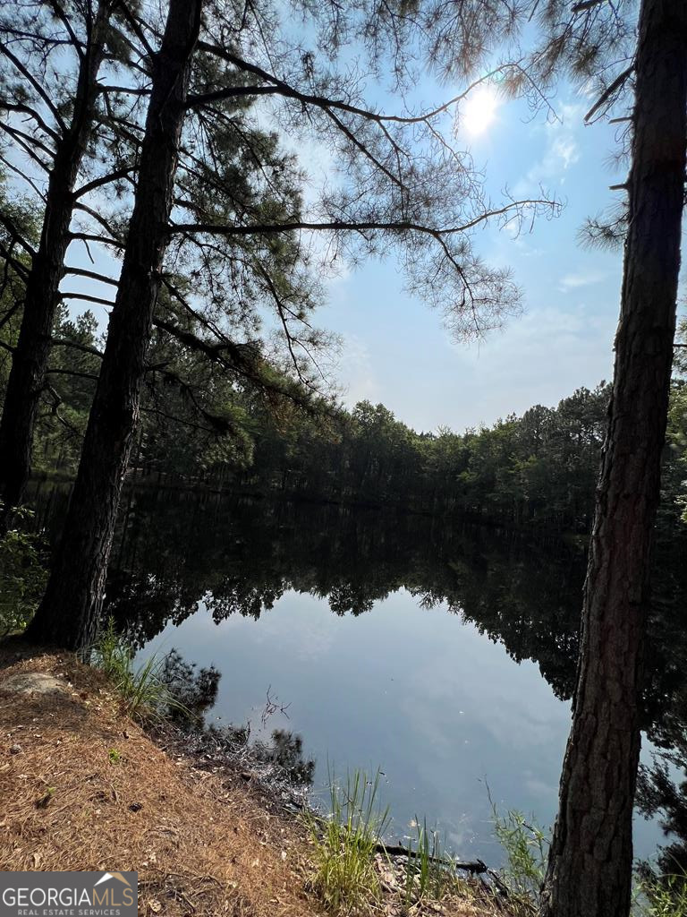 a view of lake from a tree