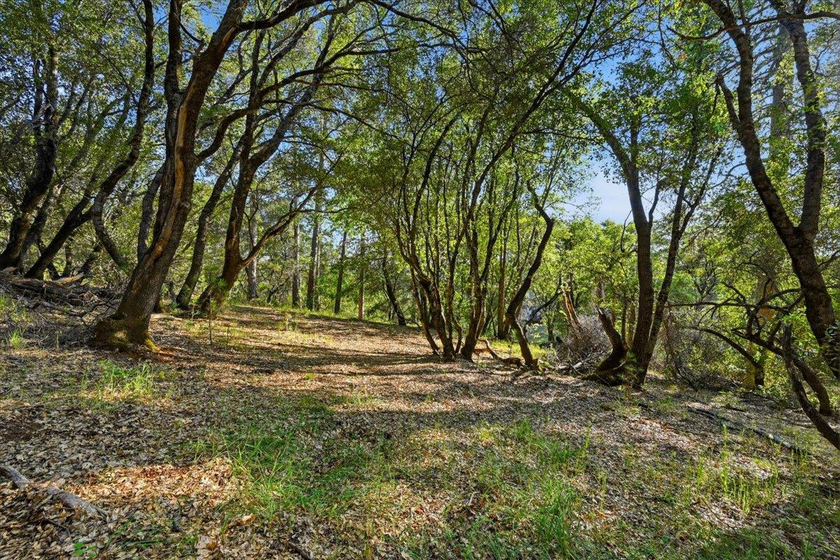 19235 Bumpy Road Grass Valley, CA 95949 - Photo 52 of 60