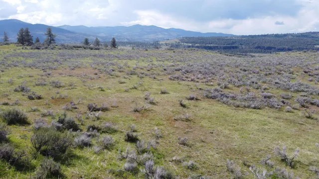 $107,500 | 1-axx North 1-axx N 25th Highway, Davenport, WA 99122