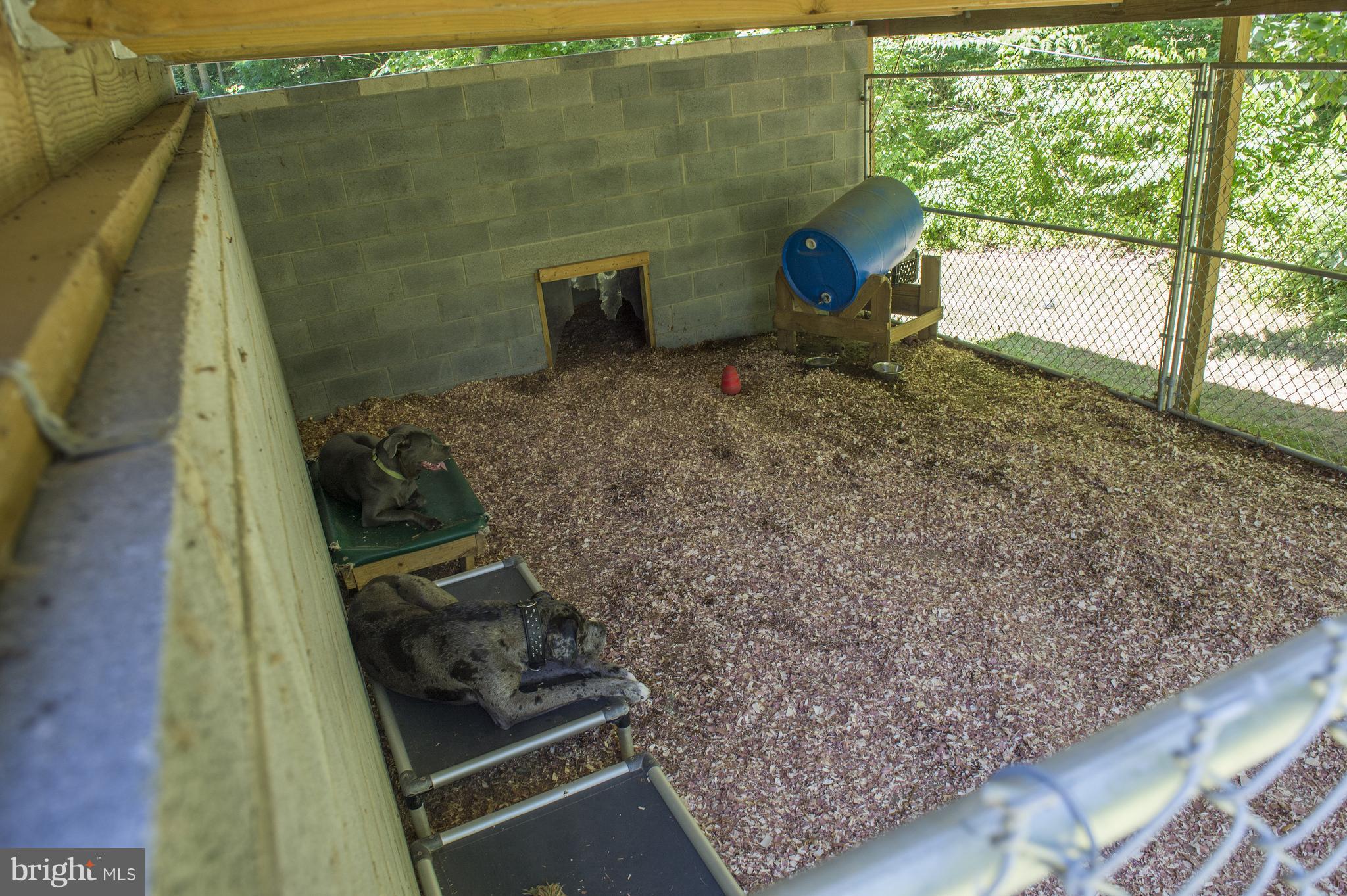 12017 Cross Rd Trail Brandywine, MD 20613 - Photo 28 of 30 Pets not into people? No worries you have a kennel