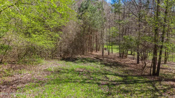 $23,900 | 60472 Old Highway 6, Amory, MS 38821