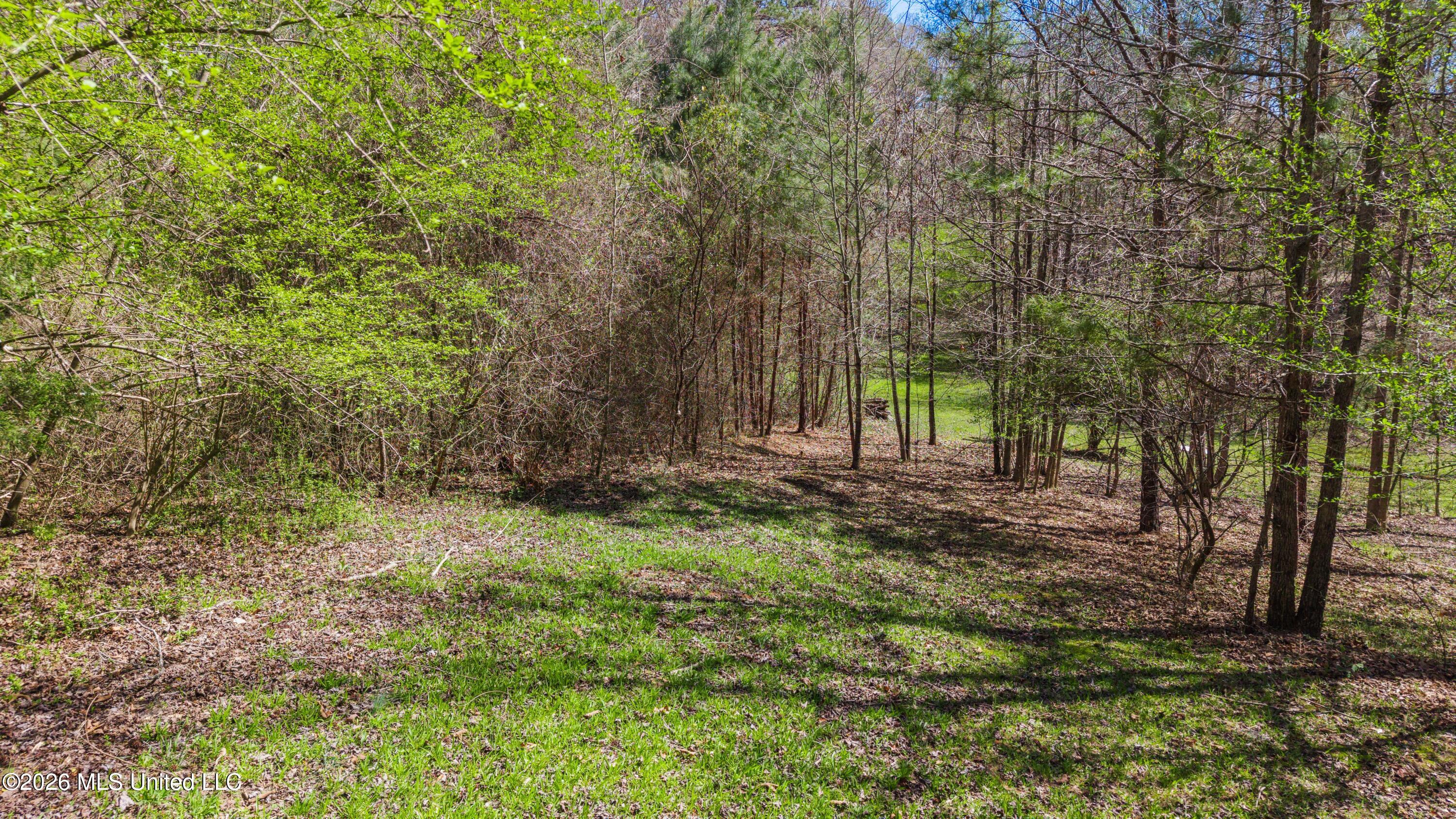 60472 Old Highway 6 Amory, MS 38821 - Photo 13 of 15 Mo-MS-1082 _13