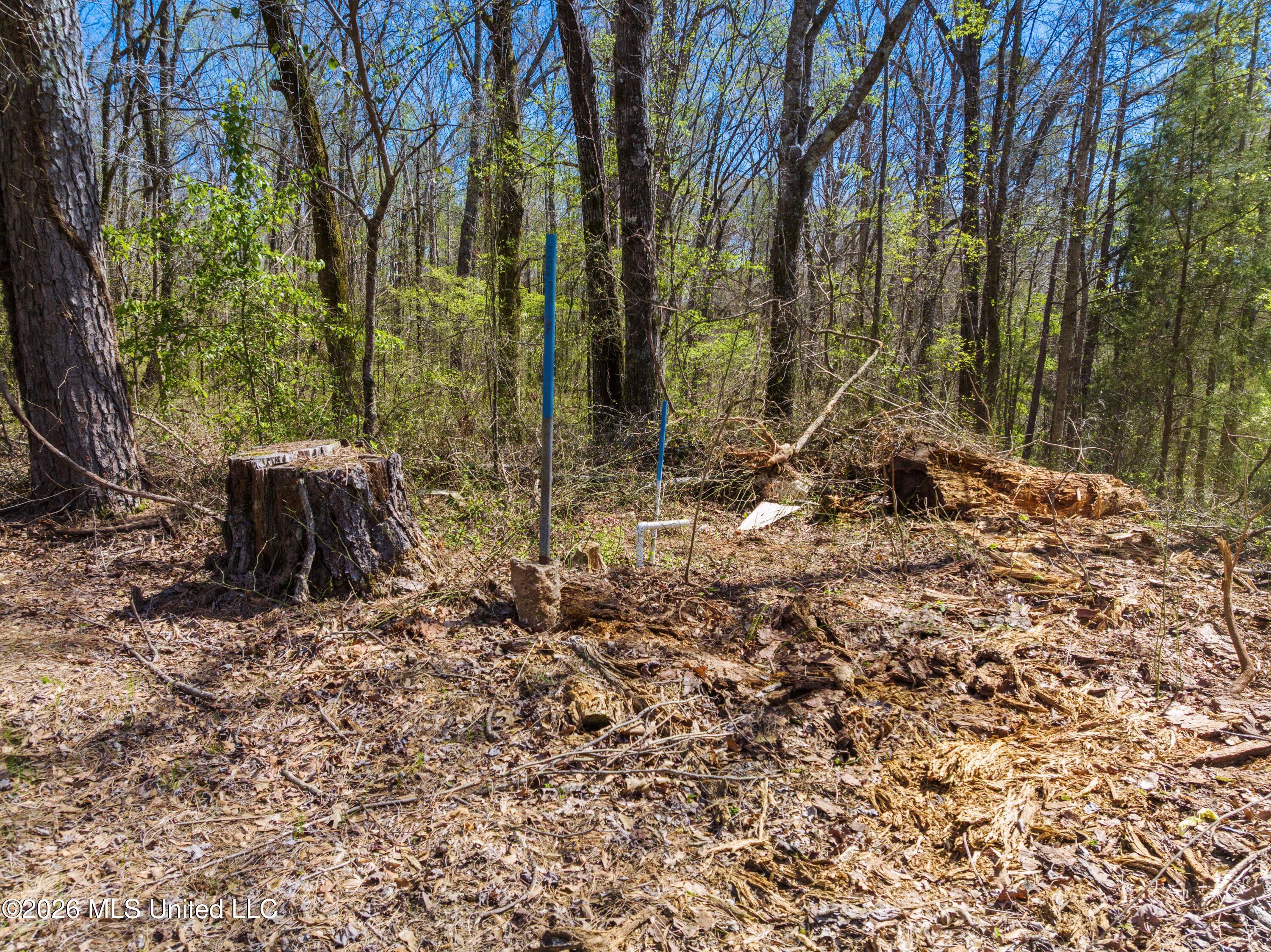 60472 Old Highway 6 Amory, MS 38821 - Photo 4 of 15 Mo-MS-1082 _4