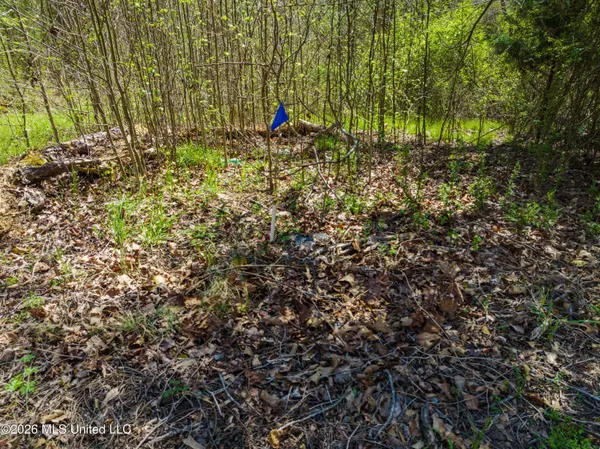 $23,900 | 60472 Old Highway 6, Amory, MS 38821