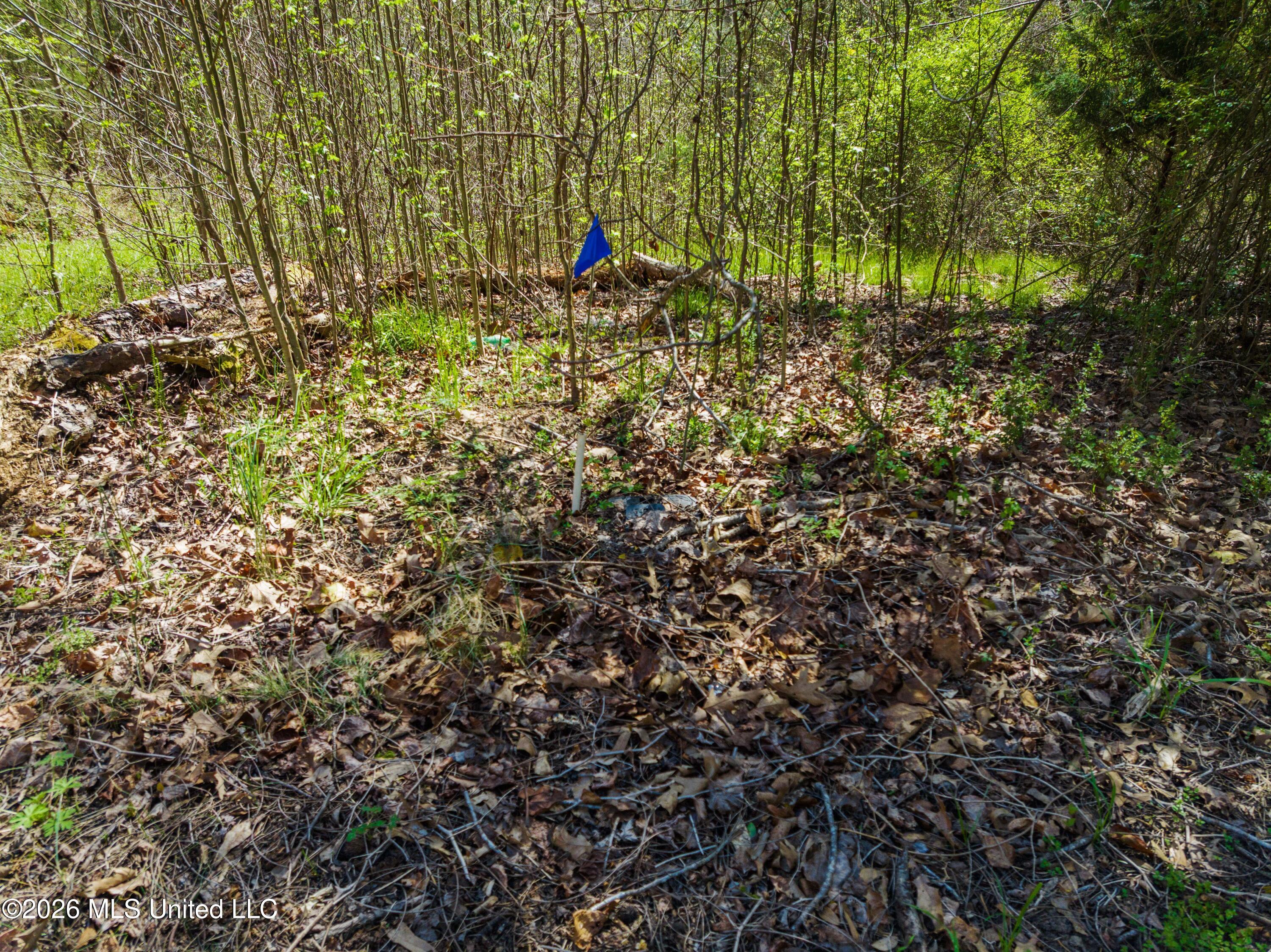 60472 Old Highway 6 Amory, MS 38821 - Photo 5 of 15 Mo-MS-1082 _5