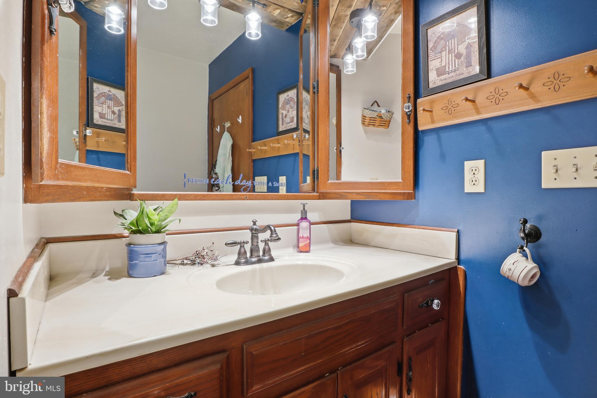 1934 Forge Heights Ln Spring Grove Spring Grove, PA 17362 - Photo 24 of 53 a bathroom with a sink and a mirror