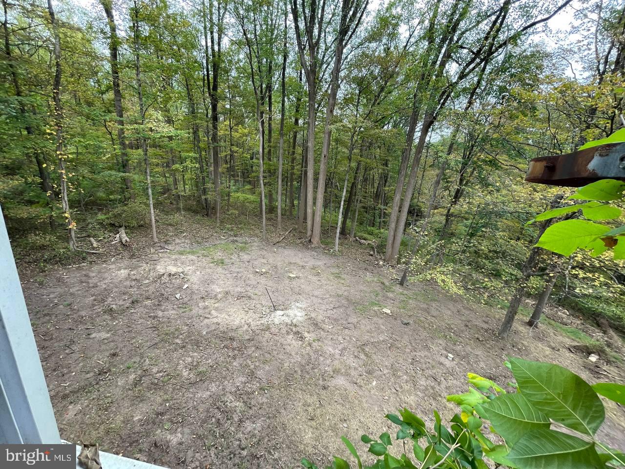2034 Woodland Road Jamison, PA 18929 - Photo 13 of 22 a view of outdoor space and garden
