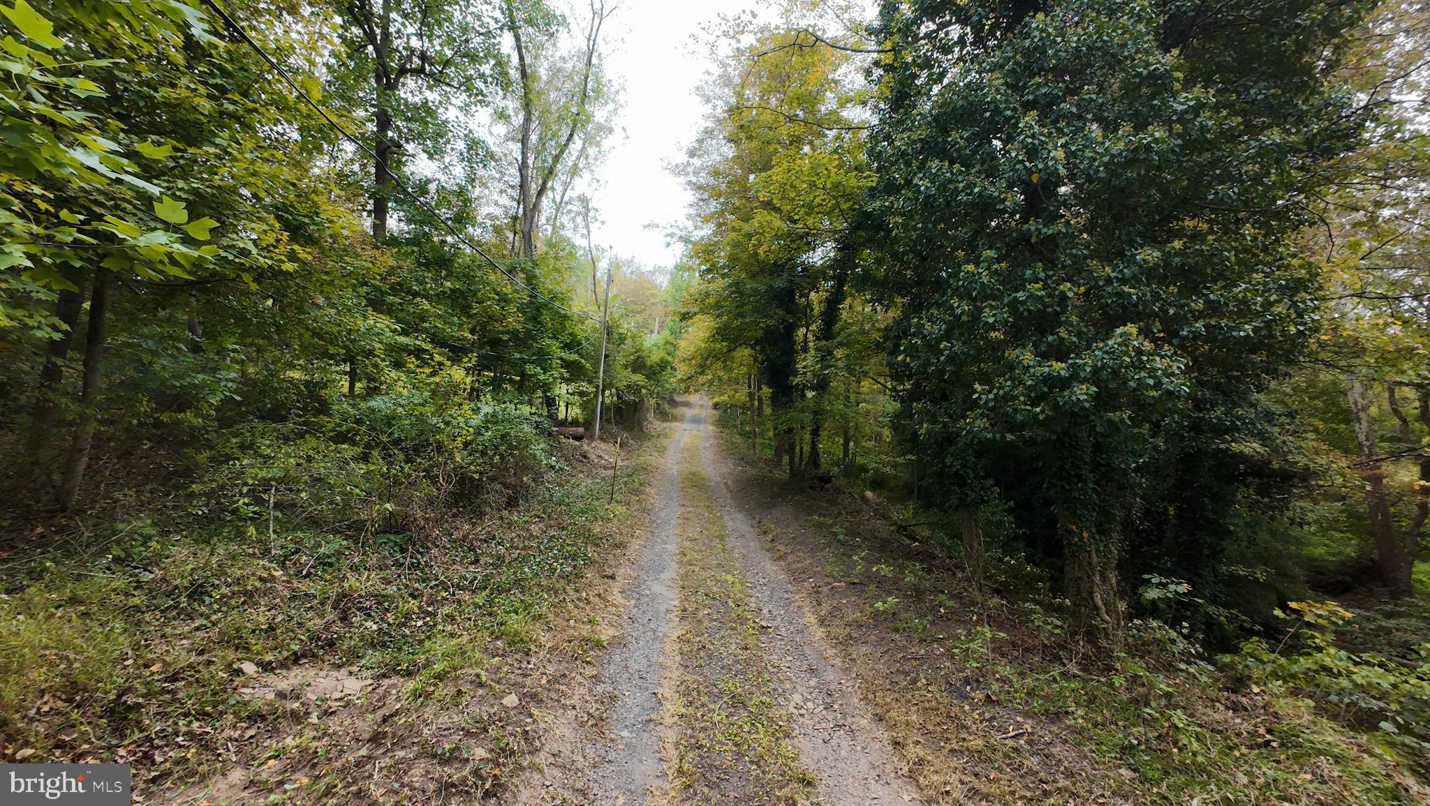 2034 Woodland Road Jamison, PA 18929 - Photo 14 of 22 a view of a yard