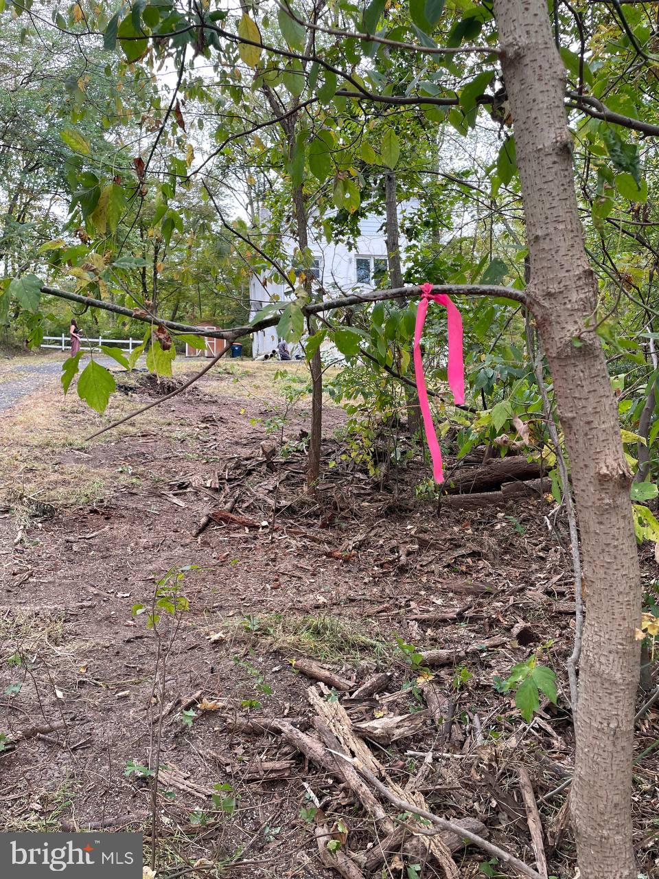 2034 Woodland Road Jamison, PA 18929 - Photo 15 of 22 a view of small space