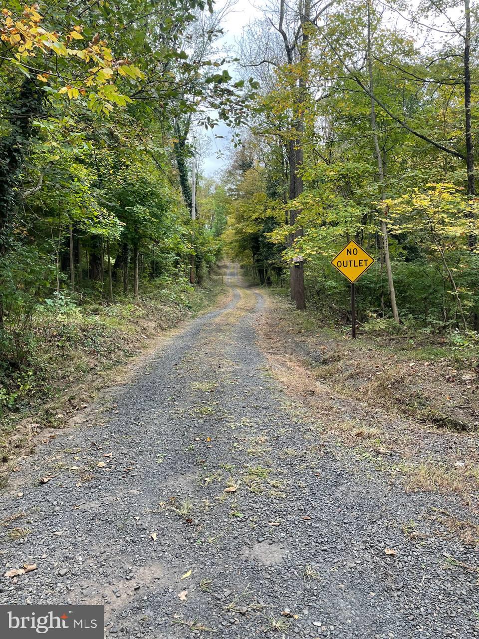 2034 Woodland Road Jamison, PA 18929 - Photo 18 of 22 a backyard of a house with lots of green space