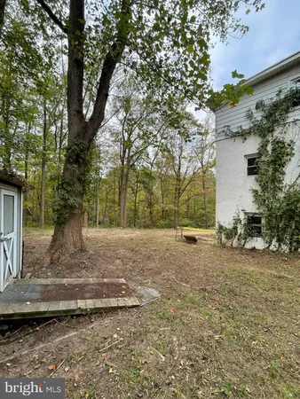 a view of a yard with plants and trees