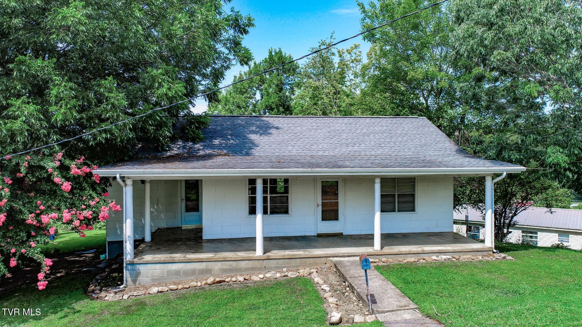 141 Hiola Street Newport, TN 37821 - Photo 3 of 42 3