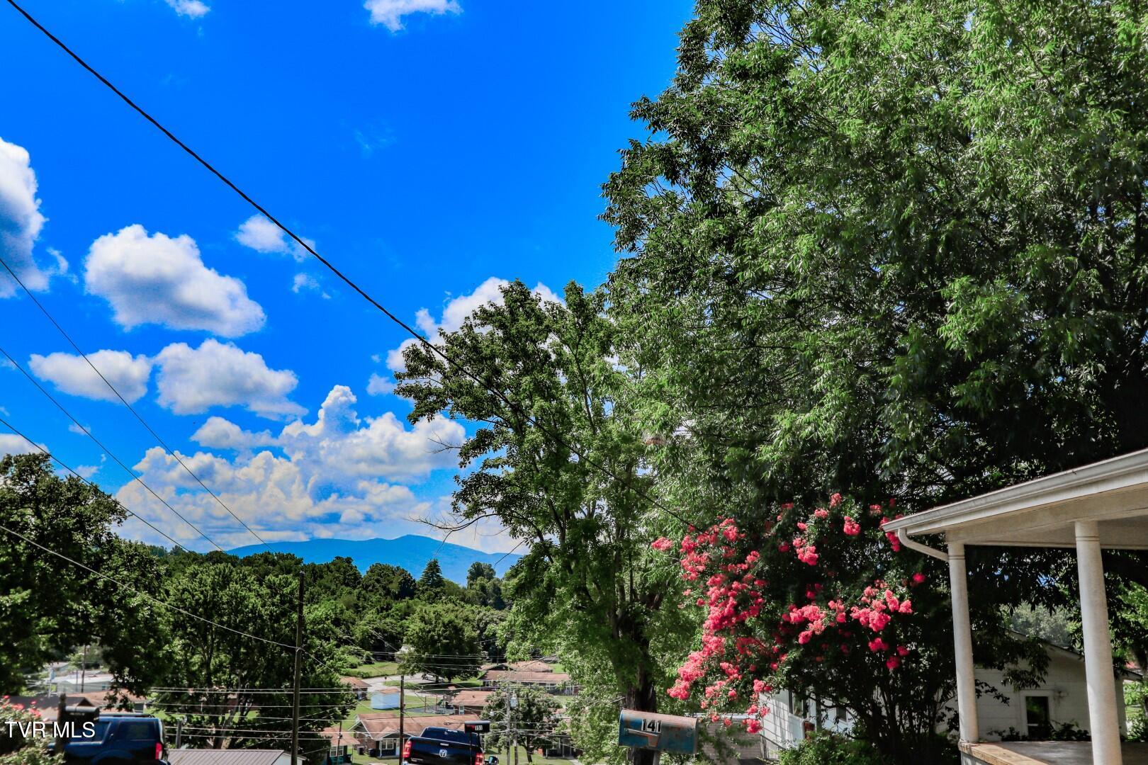 141 Hiola Street Newport, TN 37821 - Photo 39 of 42 37