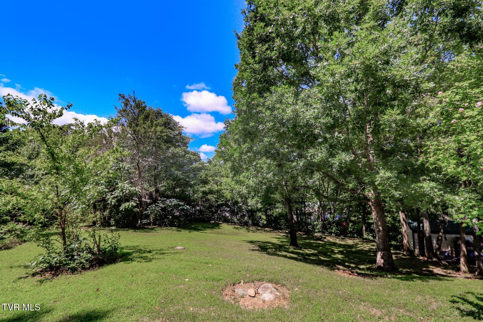 141 Hiola Street Newport, TN 37821 - Photo 41 of 42 39