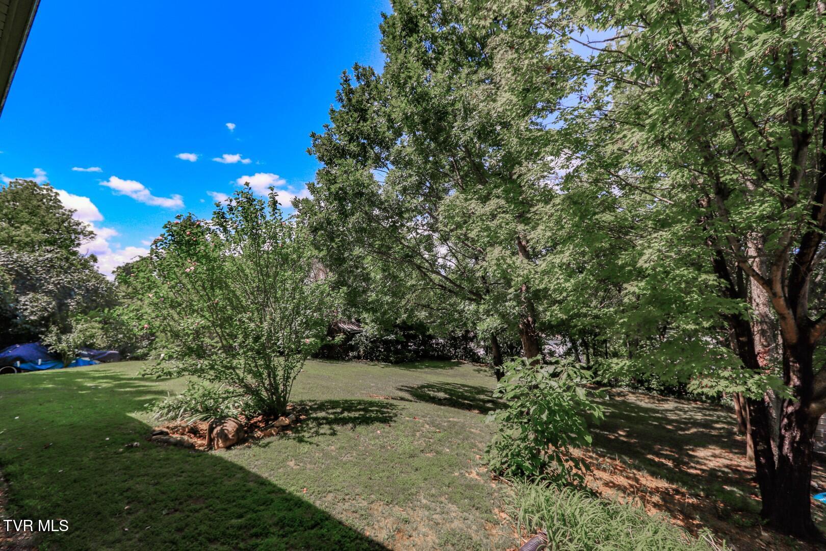 141 Hiola Street Newport, TN 37821 - Photo 42 of 42 40