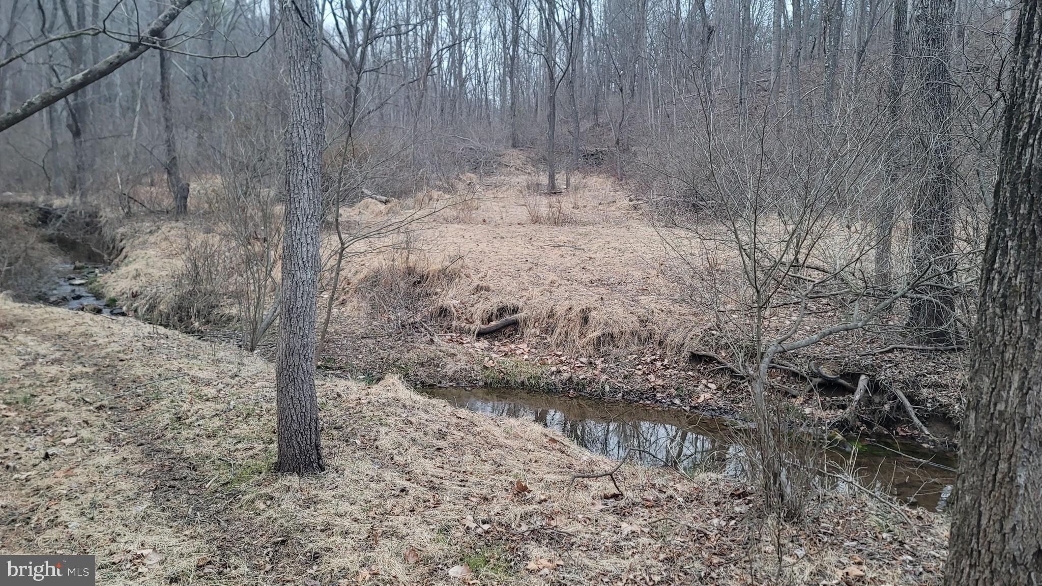 1345 Brehm Road Westminster, MD 21157 - Photo 119 of 131