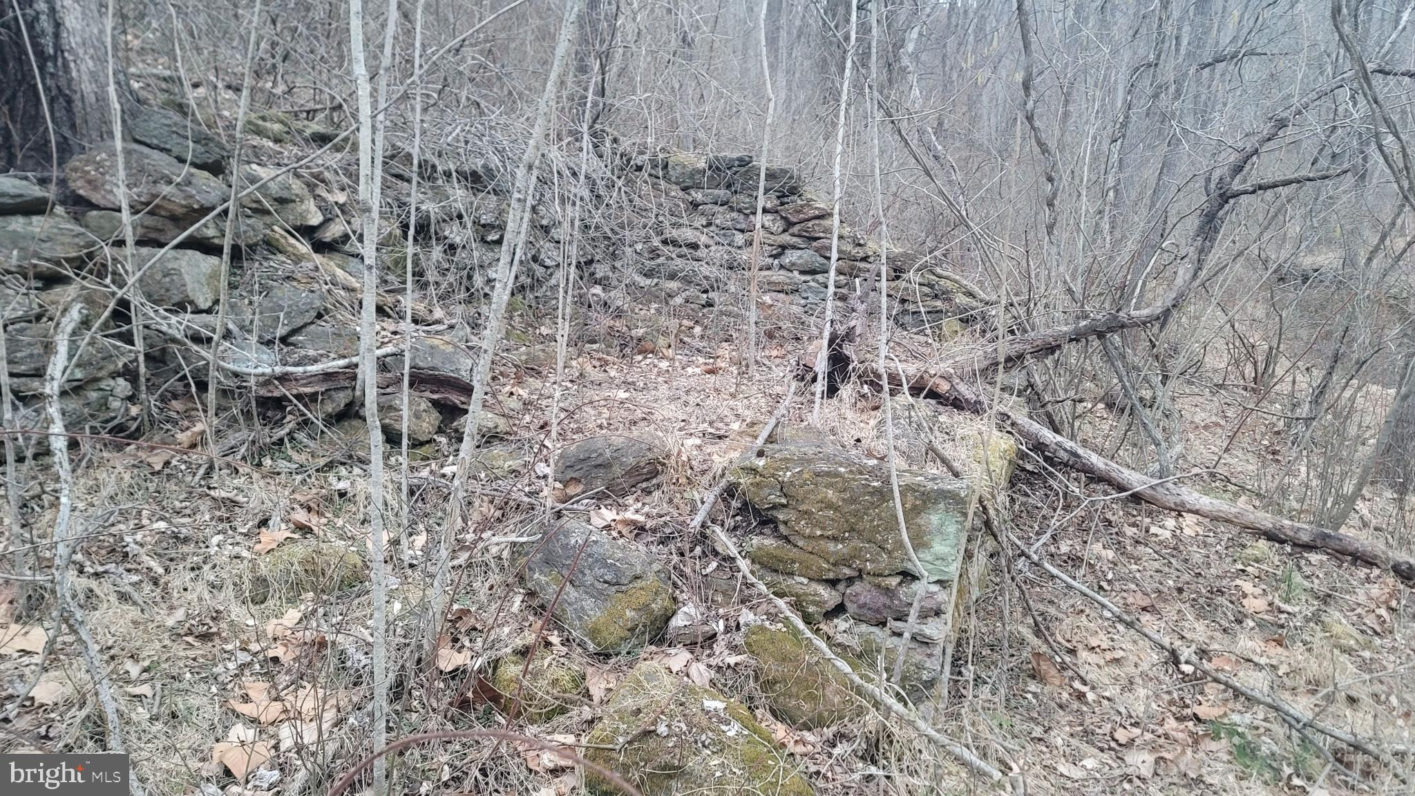 1345 Brehm Road Westminster, MD 21157 - Photo 120 of 131