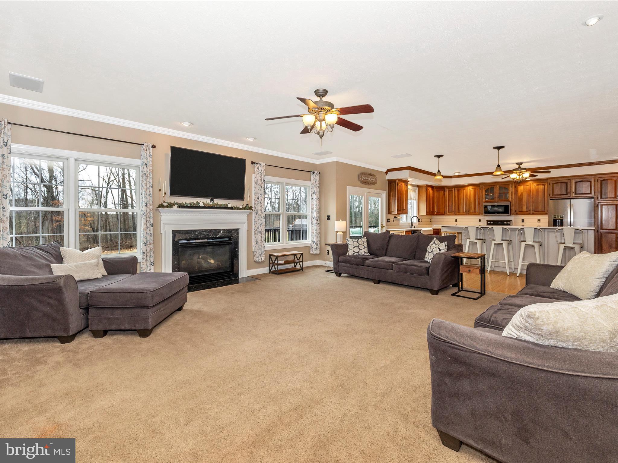 1345 Brehm Road Westminster, MD 21157 - Photo 32 of 131 a living room with furniture a fireplace and a flat screen tv
