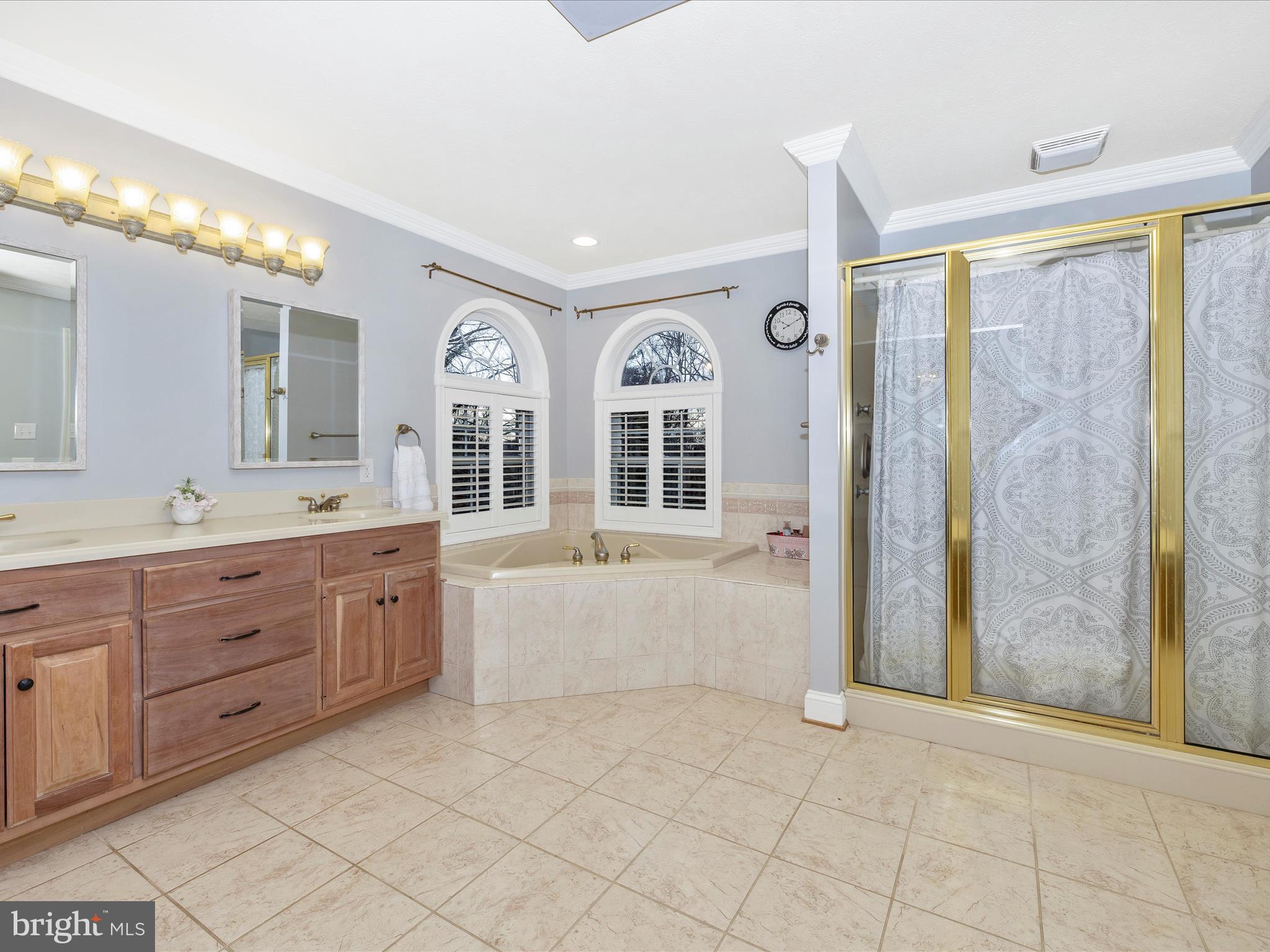 1345 Brehm Road Westminster, MD 21157 - Photo 44 of 131 a spacious bathroom with a granite countertop sink mirror and a bathtub