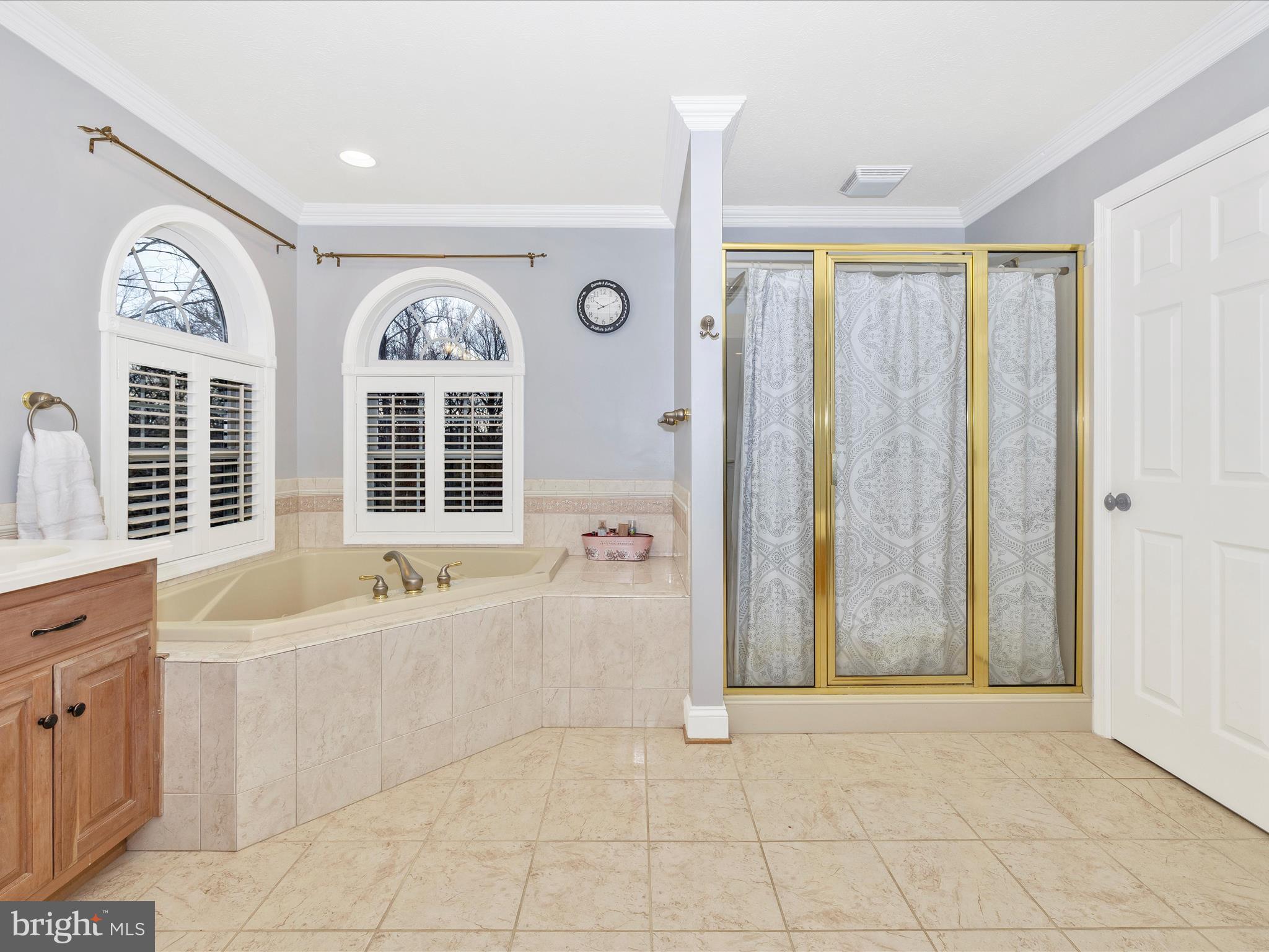 1345 Brehm Road Westminster, MD 21157 - Photo 45 of 131 Primary Bathroom