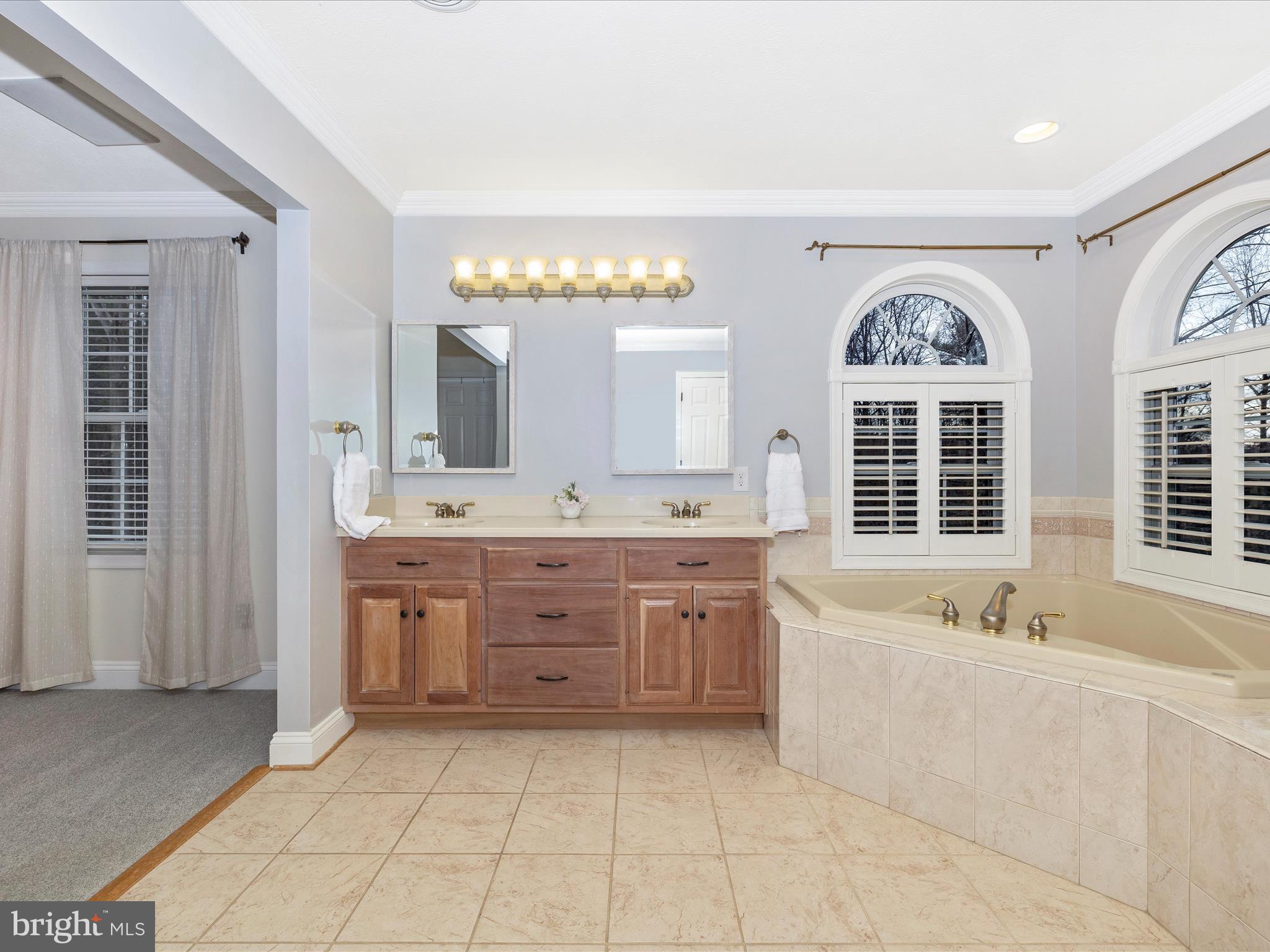 1345 Brehm Road Westminster, MD 21157 - Photo 46 of 131 Primary Bathroom