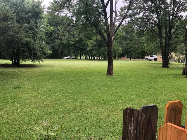 a view of backyard with green space