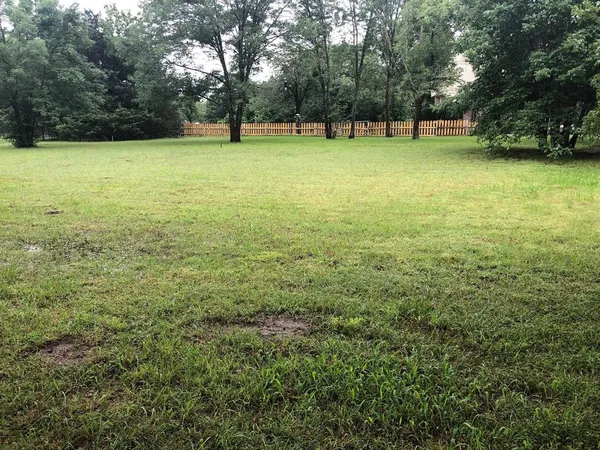 a view of a field with a trees