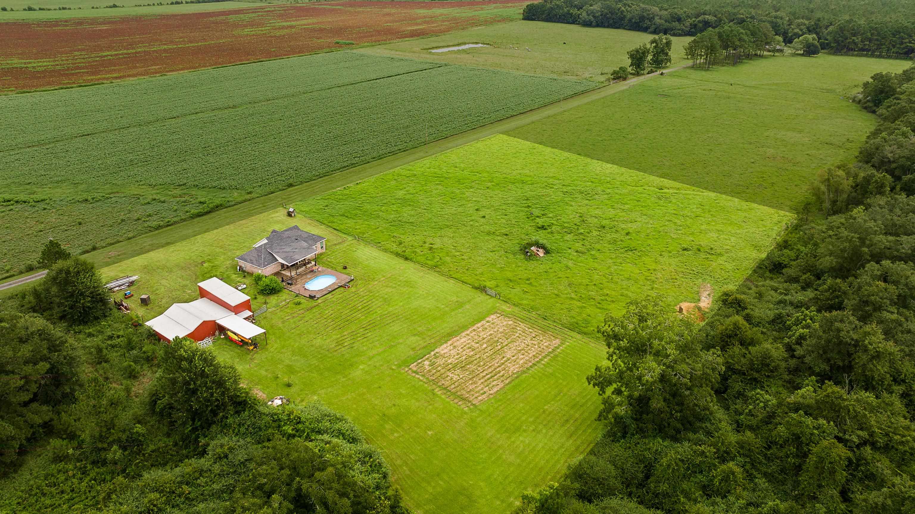 25212 Reeves Lane Elberta, AL 36530 - Photo 25 of 28 Aerial View