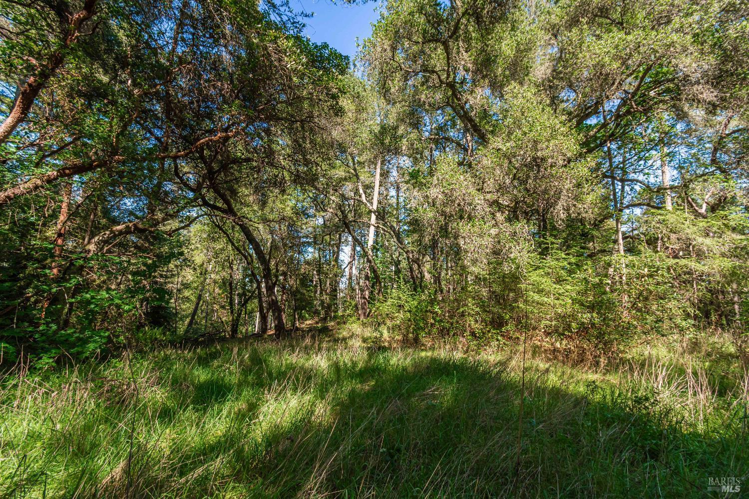 0 Dry Creek Road Napa, CA 94558 - Photo 43 of 98