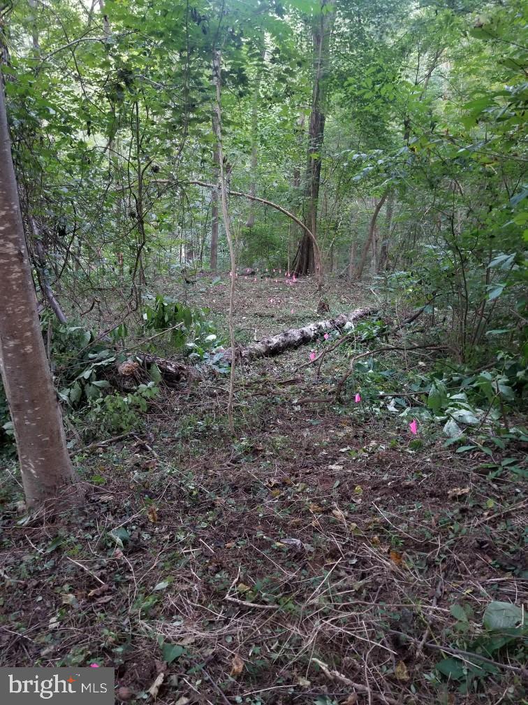 Folk Turn Road Falling Waters, WV 25419 - Photo 19 of 27 Gallery Image 19