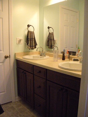 354 Gehrig Circle Bolingbrook, IL 60440 - Photo 7 of 11 a bathroom with a double vanity sink and a mirror