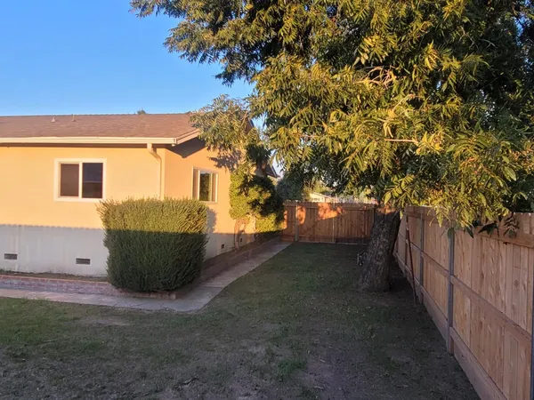 a view of a backyard