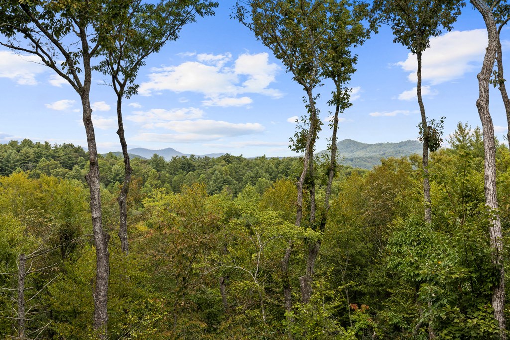 Lot B Arp Road Mineral Bluff, GA 30559 - Photo 37 of 57 Gallery Image 37