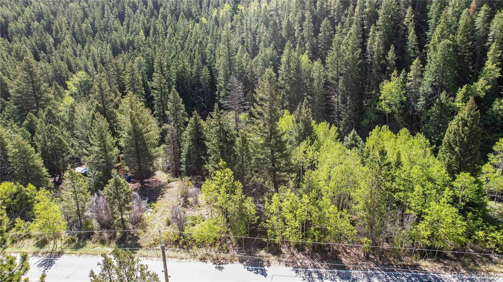 103 Cascade Creek Road Idaho Springs, CO 80452 - Photo 11 of 40 a view of a forest with a tree