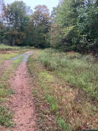 $19,890 | 178 Madison Cr, Fredericktown, MO 63645