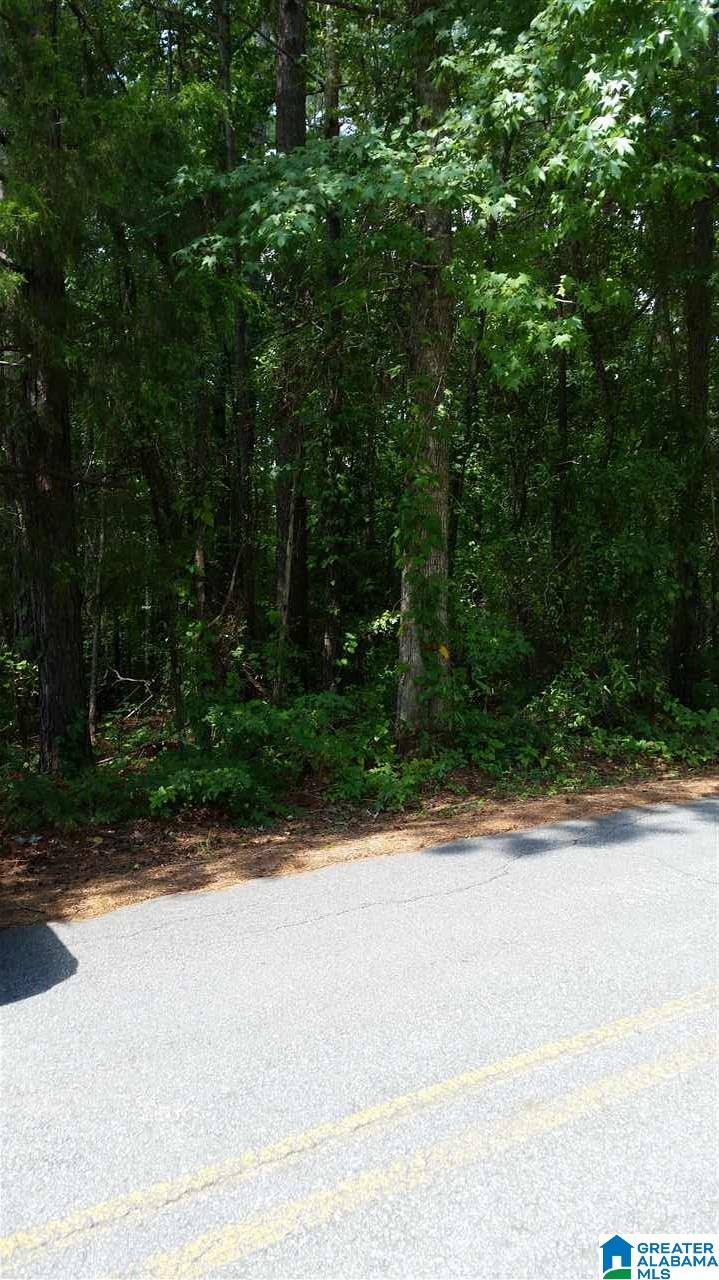 Wind Creek, Unit 2 Alexander City, AL 35010 - Photo 3 of 6