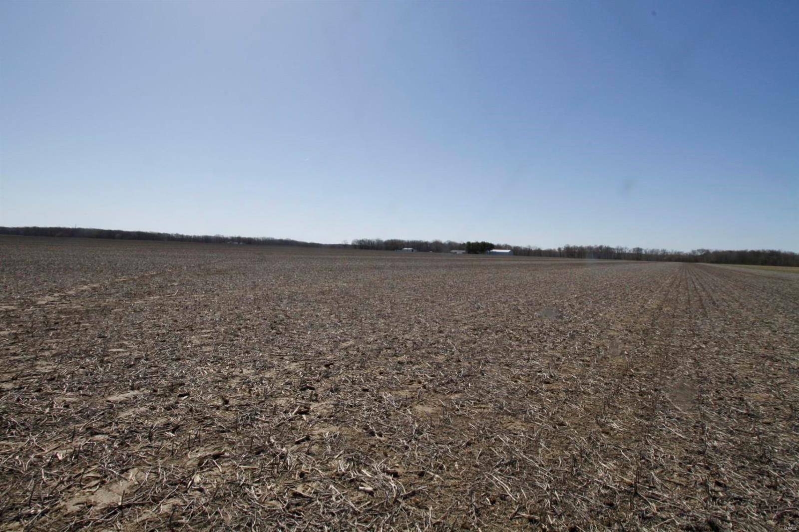 6700 Cecil Road Patoka, IL 62875 - Photo 4 of 64
