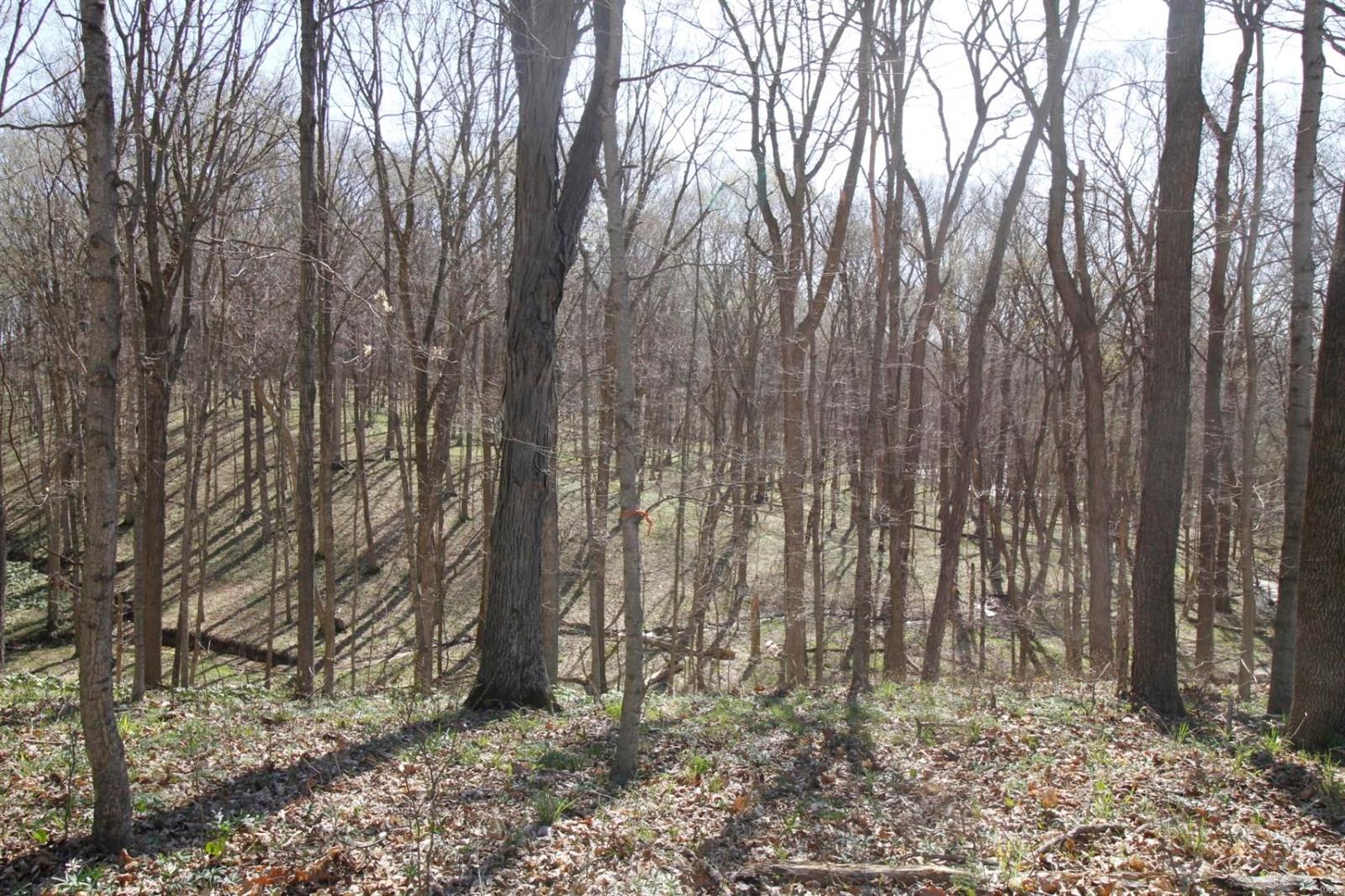 6700 Cecil Road Patoka, IL 62875 - Photo 60 of 64