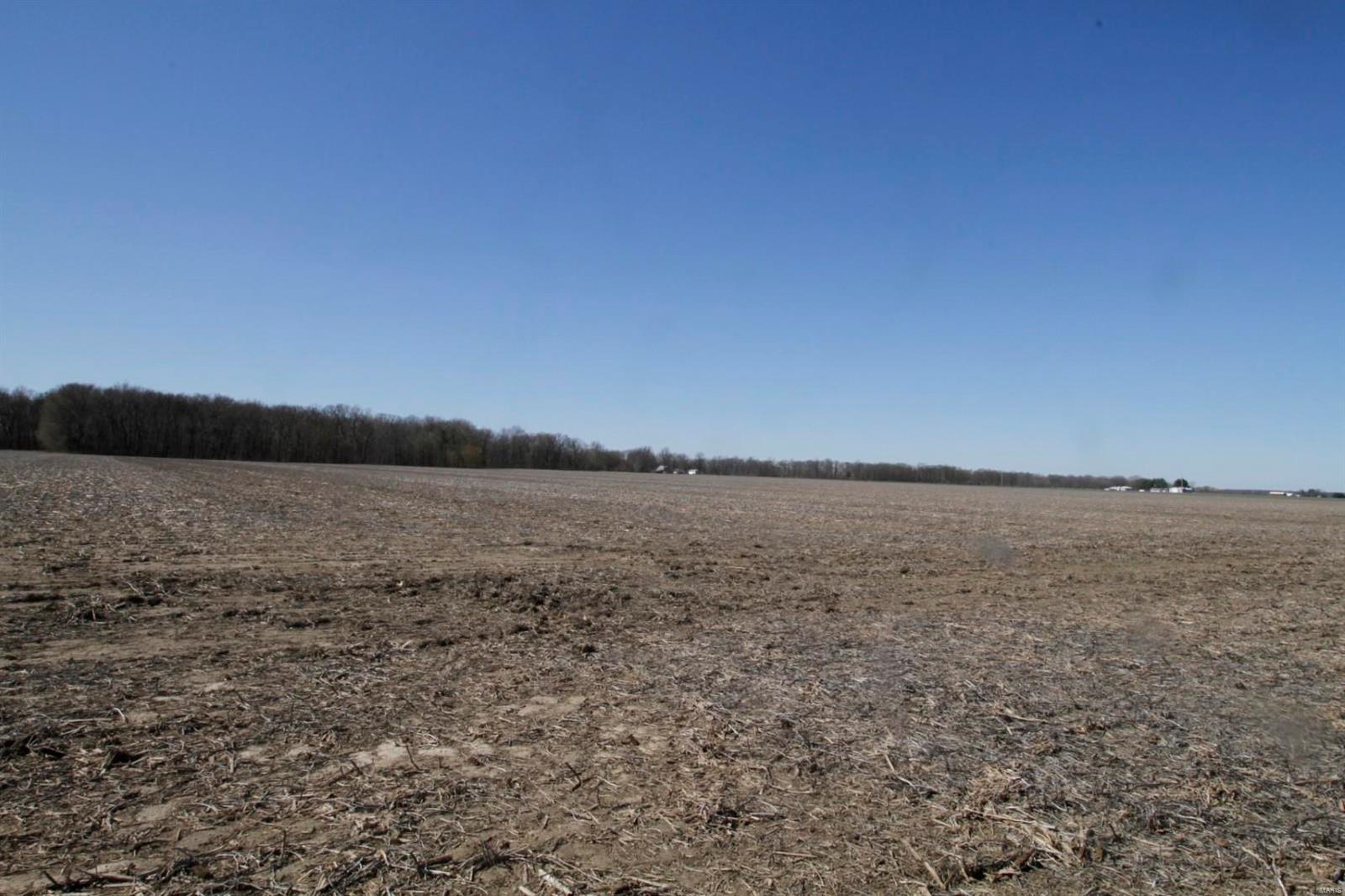 6700 Cecil Road Patoka, IL 62875 - Photo 7 of 64