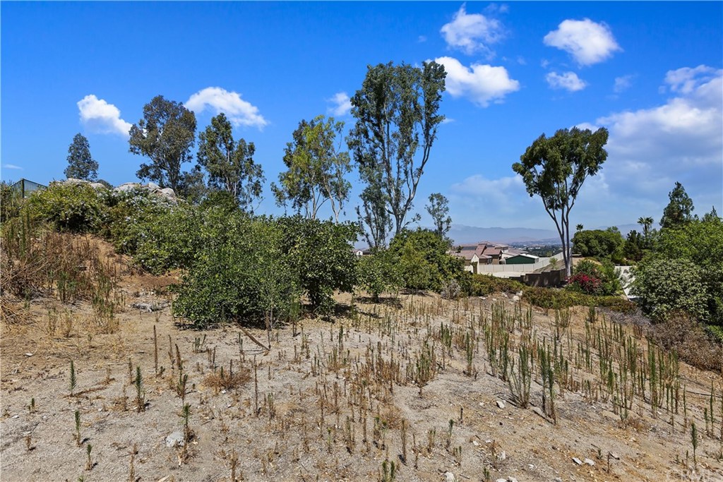 11056 Orchard View Lane Riverside, CA 92503 - Photo 21 of 56