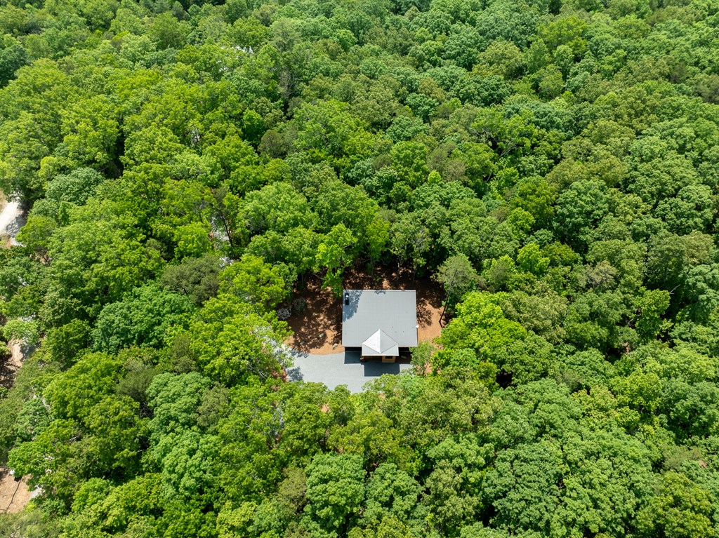 221 Goldmine Road Morganton, GA 30560 - Photo 11 of 51 a view of a house with a yard