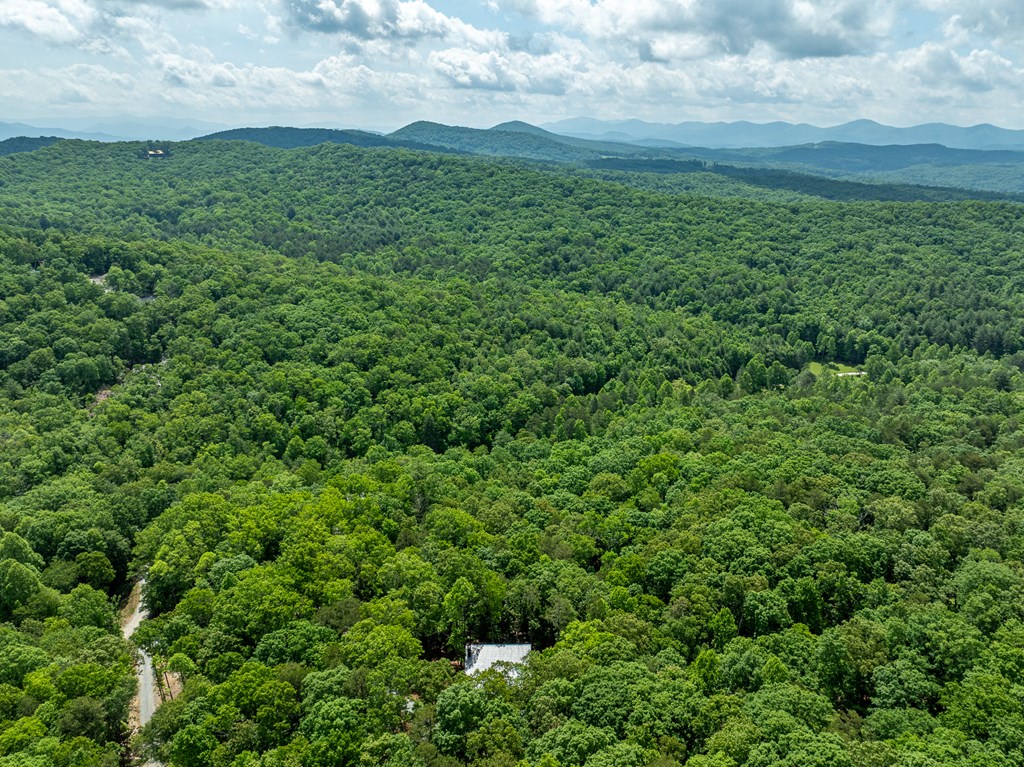 221 Goldmine Road Morganton, GA 30560 - Photo 12 of 51 a view of a field of grass and trees