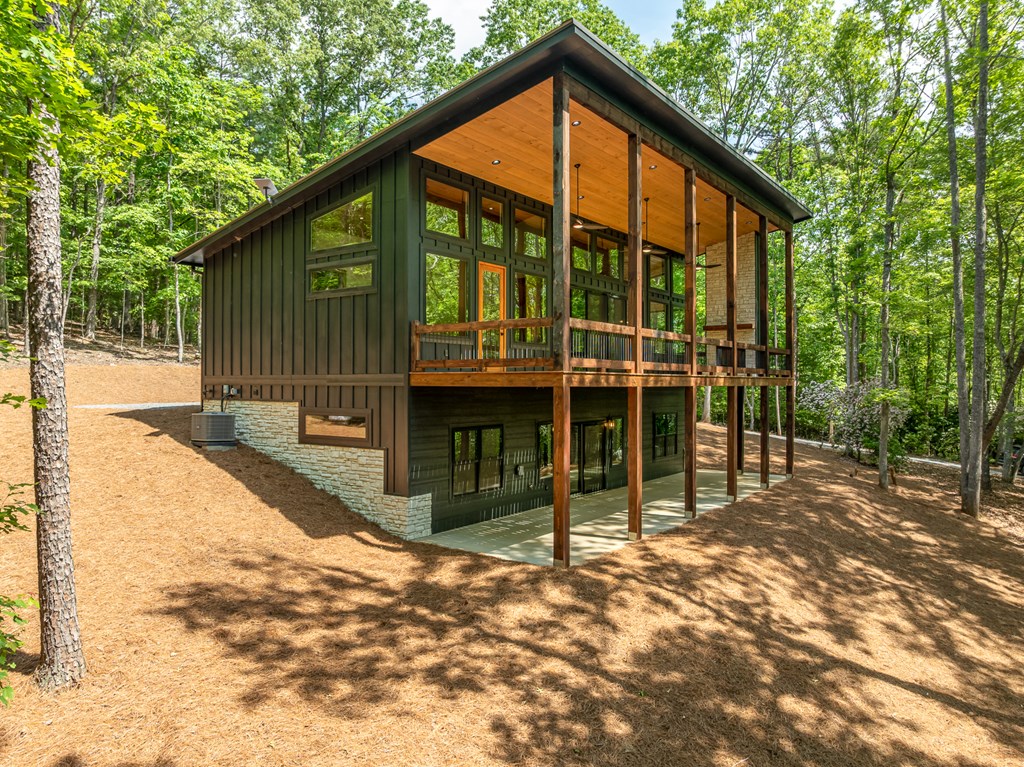 221 Goldmine Road Morganton, GA 30560 - Photo 5 of 51 a view of a house with a yard