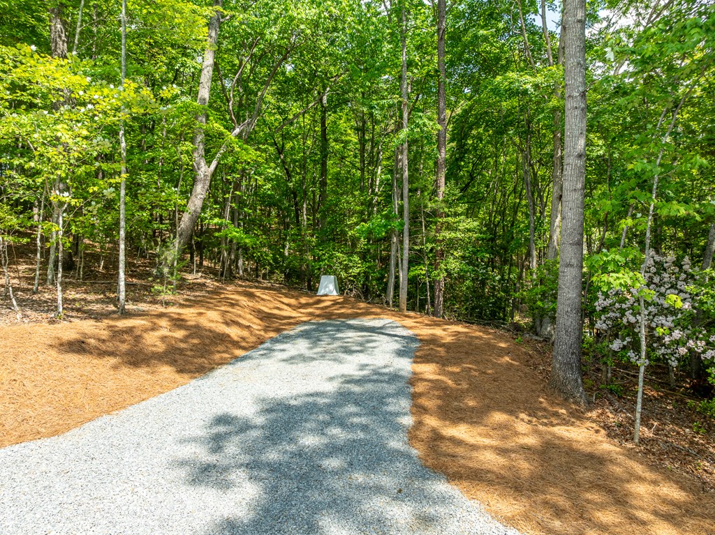 221 Goldmine Road Morganton, GA 30560 - Photo 8 of 51 a view of a field with trees in the background