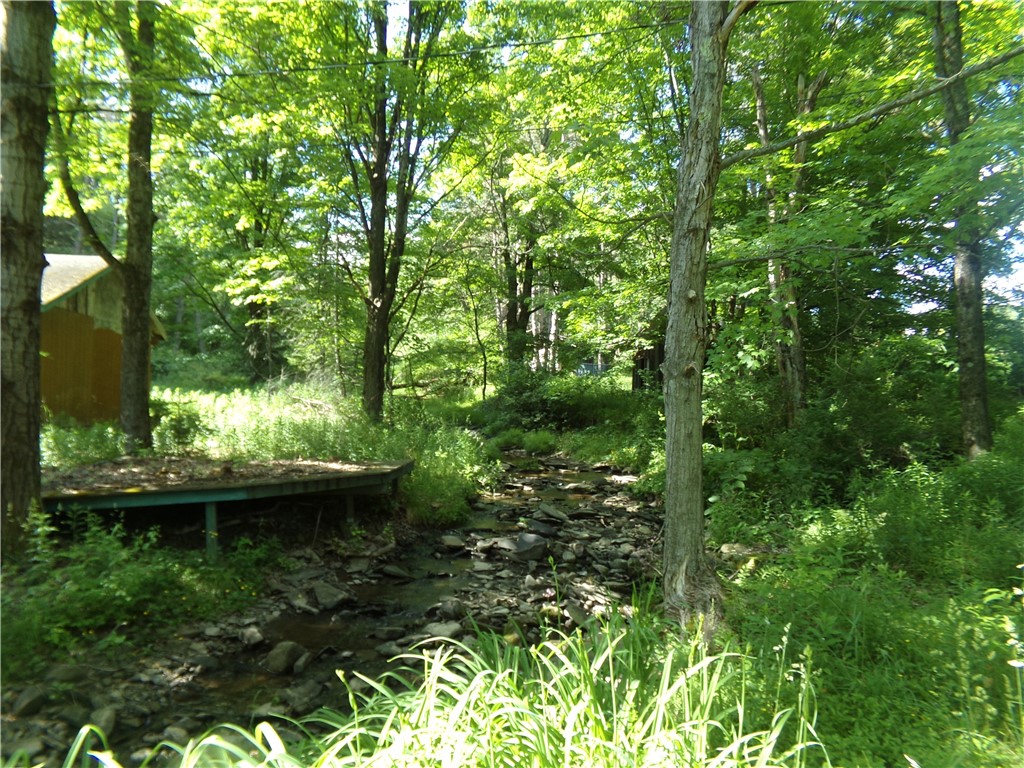 293 Lockwood Hill Road Mount Upton, NY 13809 - Photo 10 of 17