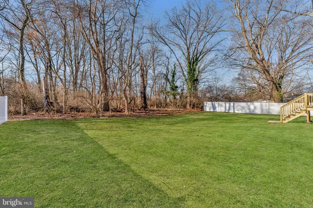 a view of a park with large trees