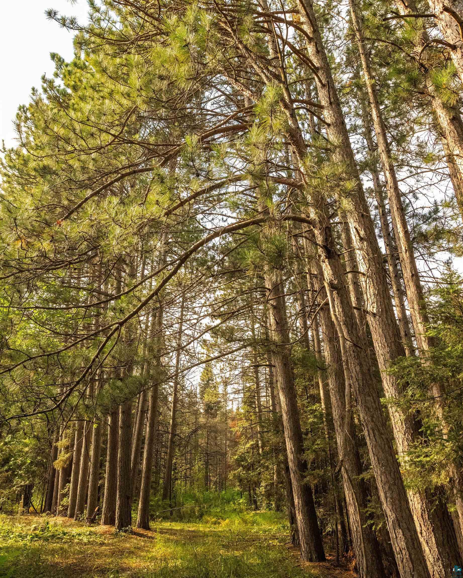 1912 Hegberg Road Duluth, MN 55804 - Photo 14 of 26